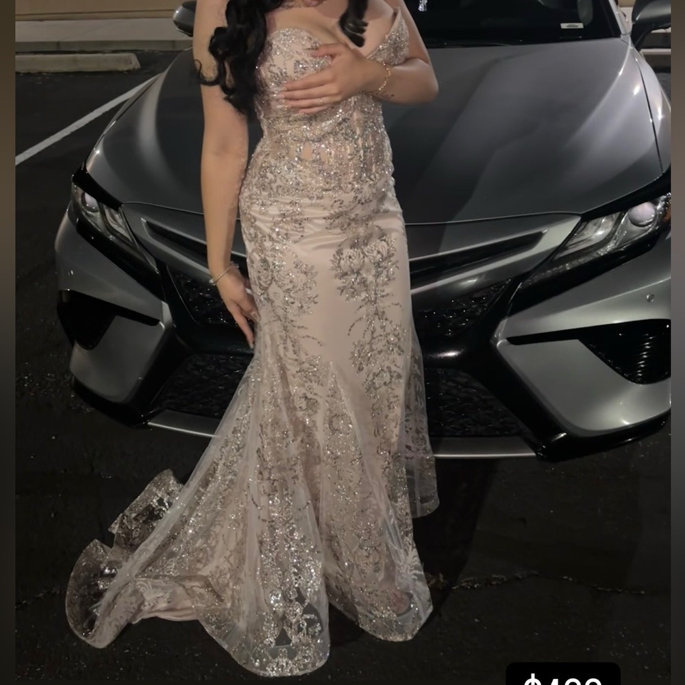 Elegant Cinderella Prom Dress - Blush and Silver